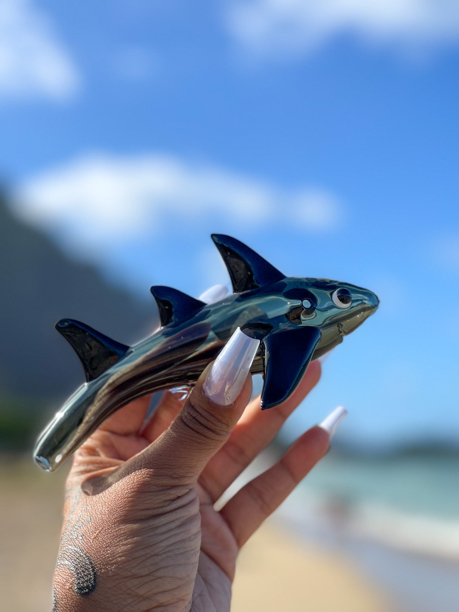 Shark Handpipe