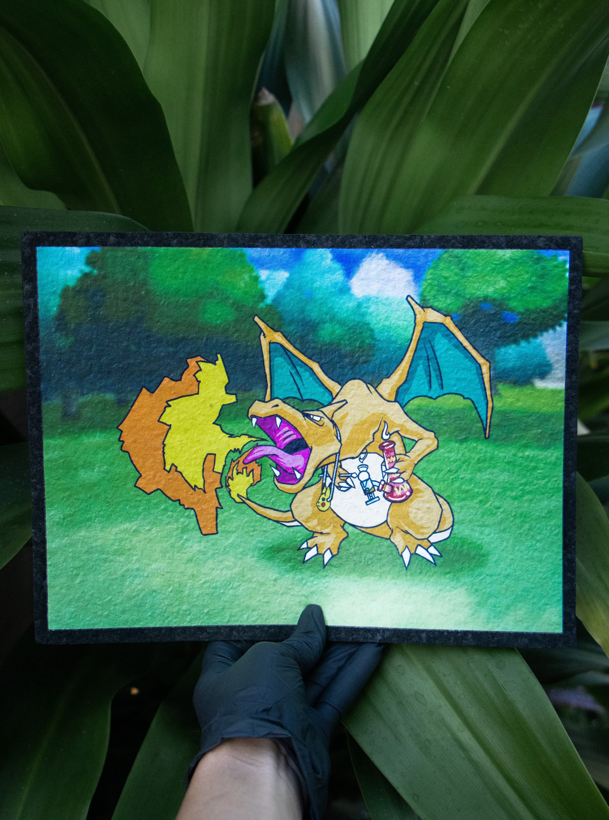 90U Forest Fire Charizard Moodmat