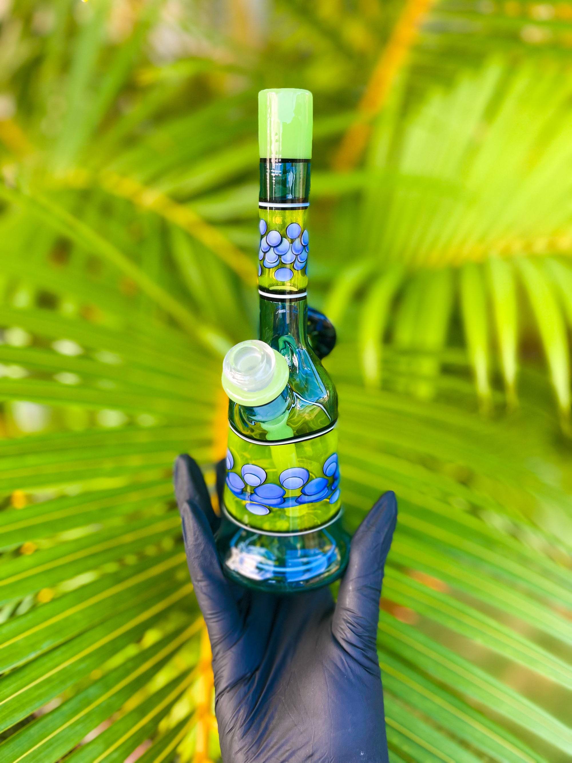 Night Wlf Day Glow Rig