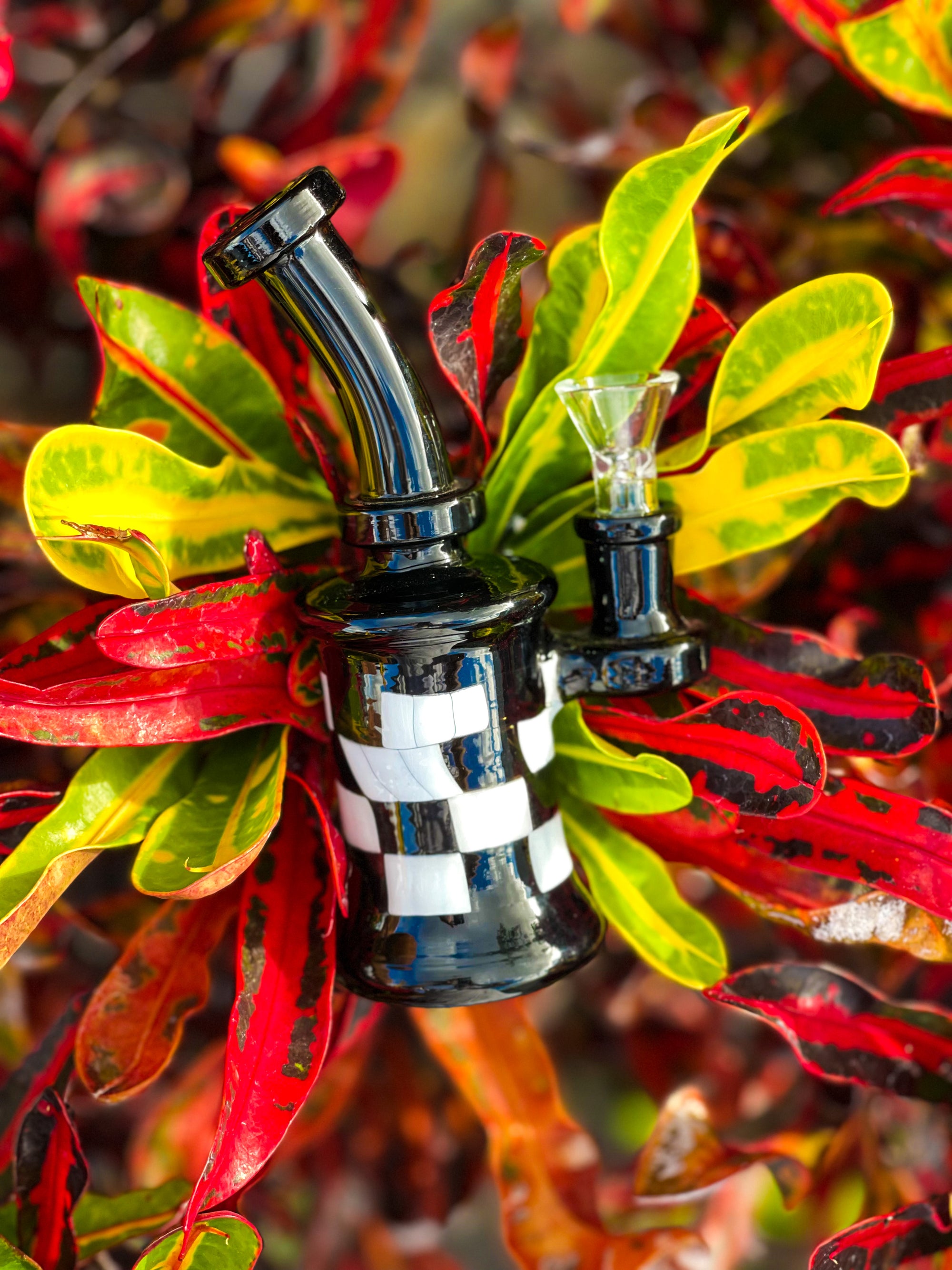 Mini Checkered Rig