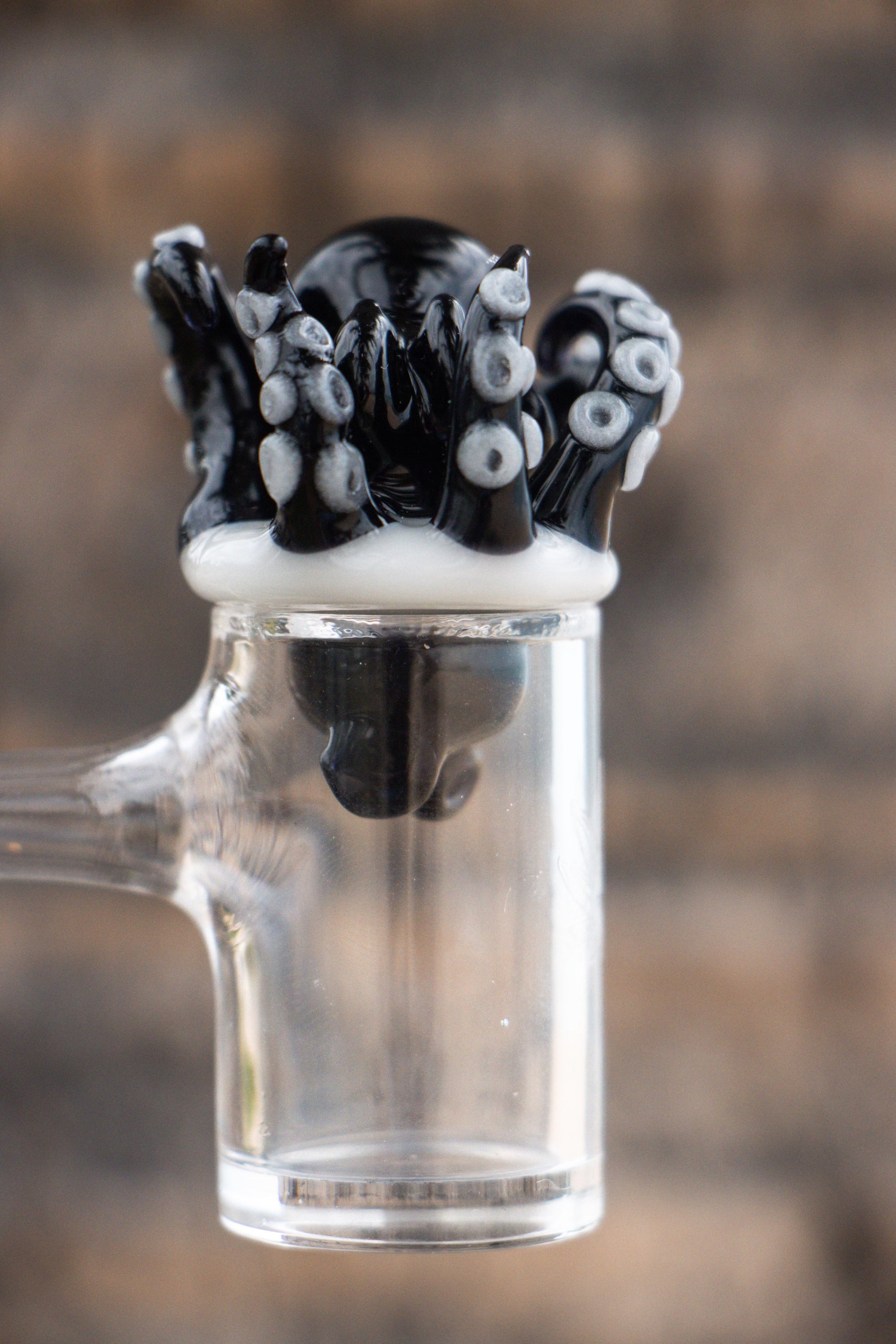 Johnny Landini Black & White Carb Cap Set